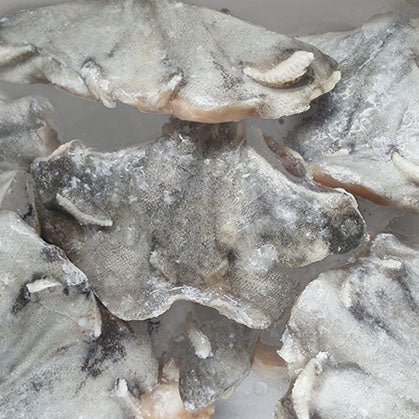 Black Cod Collars / 黒鱈魚下巴 / 銀だらカマ - seaborn store