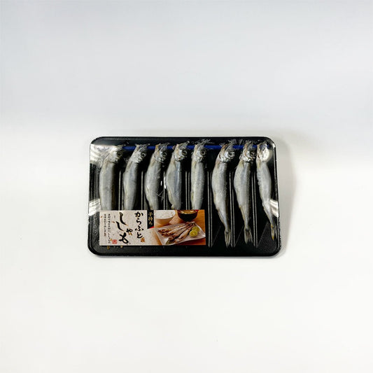 Capelin / 多春魚 / ししゃも - seaborn store