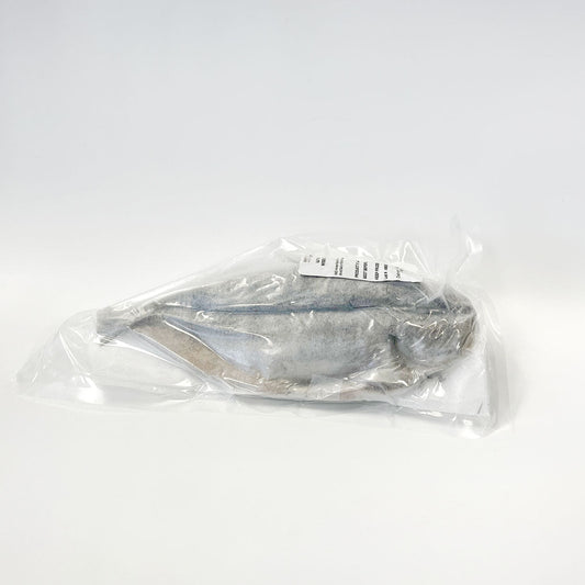 Horse Mackerel / 竹莢魚 / アジ開き - seaborn store