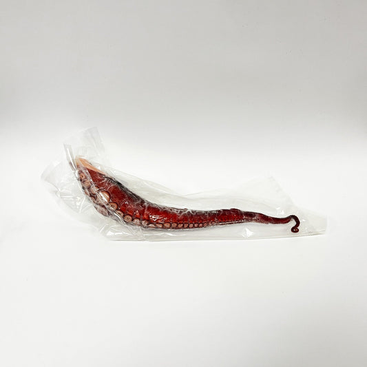 (Sashimi Gr. 刺身) Octopus leg / 章魚 / タコ足 - seaborn store