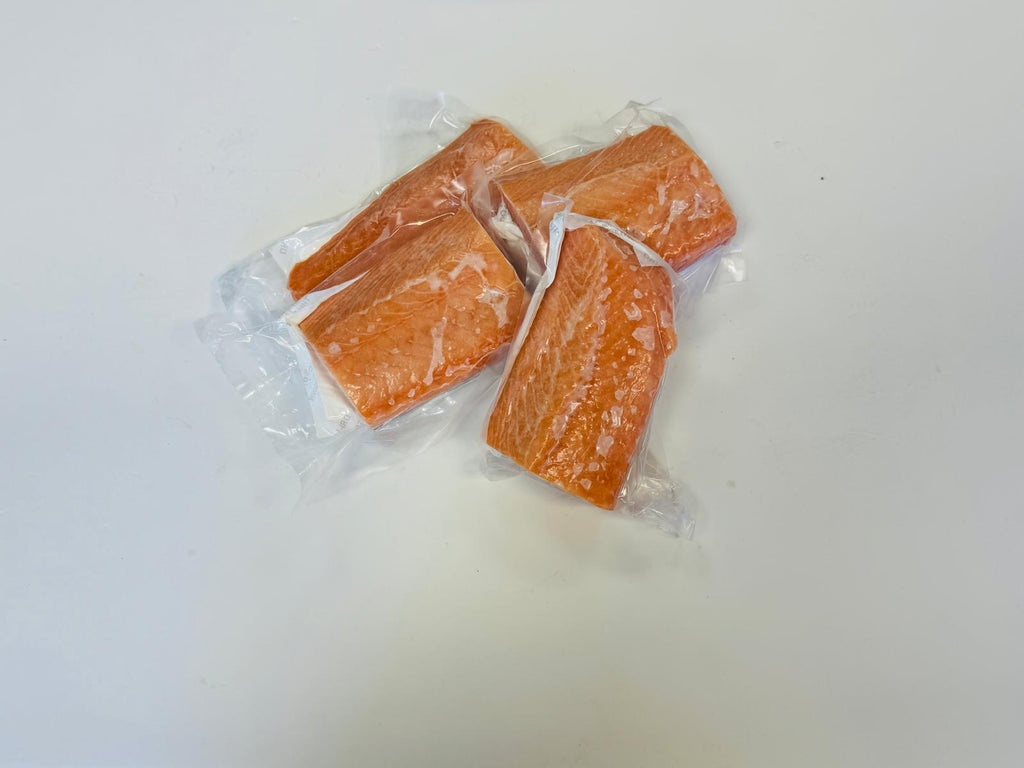 Atlantic Salmon / アトランティックサーモン - seaborn store