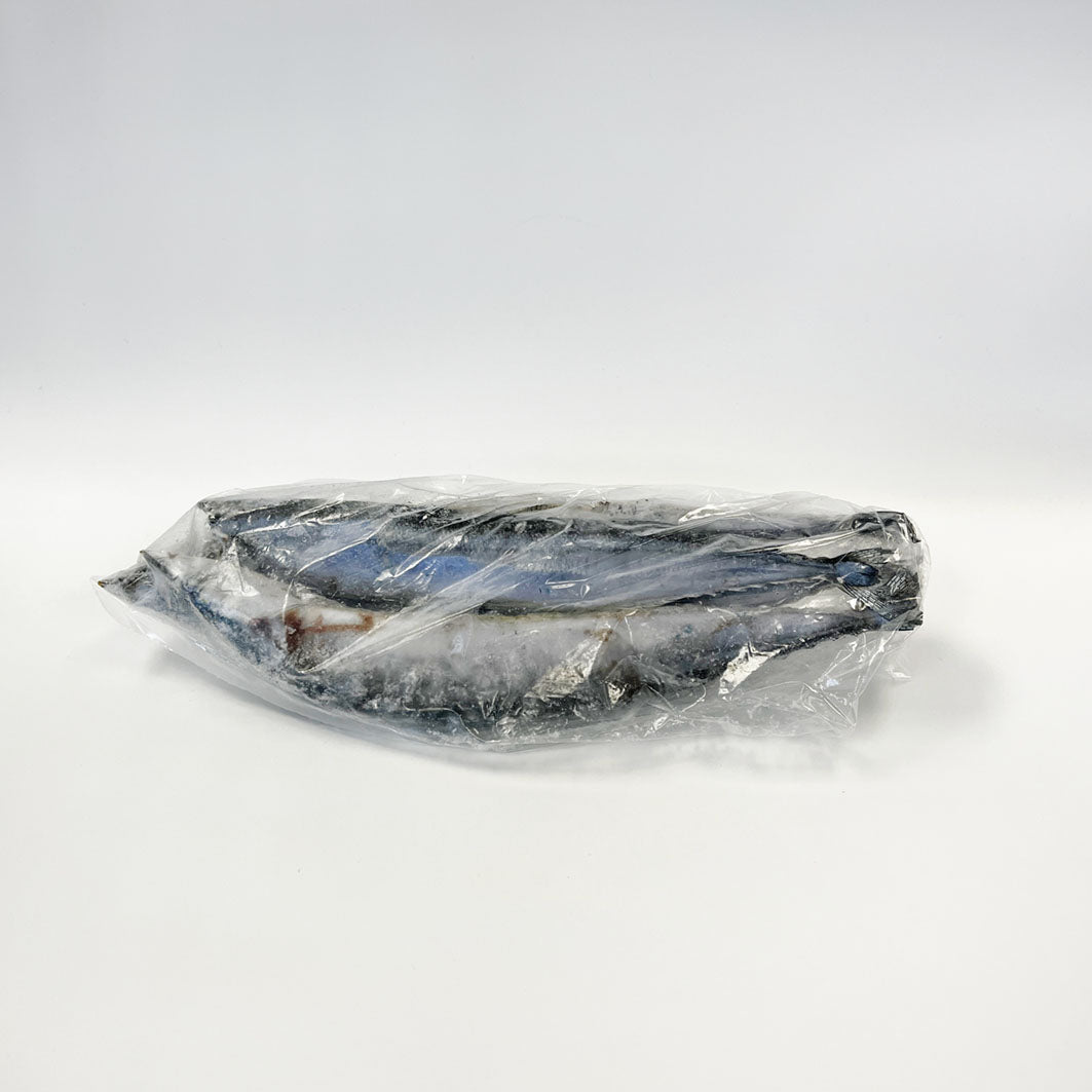 Sanma / 秋刀魚 - seaborn store