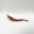 (Sashimi Gr. 刺身) Octopus leg / 章魚 / タコ足 - seaborn store