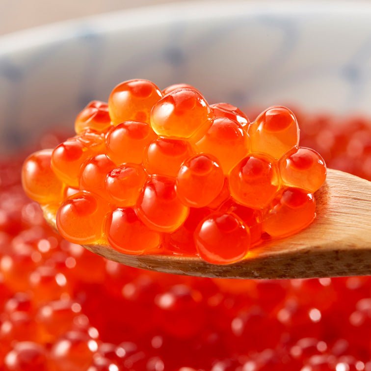 (Sashimi Gr. 刺身) Salted Ikura / 咸鲑魚子/いくら - seaborn store